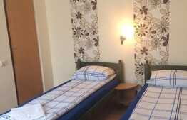 Pensiune, 370 mp utili, 514 mp teren, Gruia