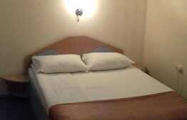 Pensiune, 370 mp utili, 514 mp teren, Gruia