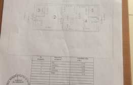 Pensiune, 370 mp utili, 514 mp teren, Gruia