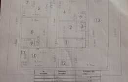 Pensiune, 370 mp utili, 514 mp teren, Gruia