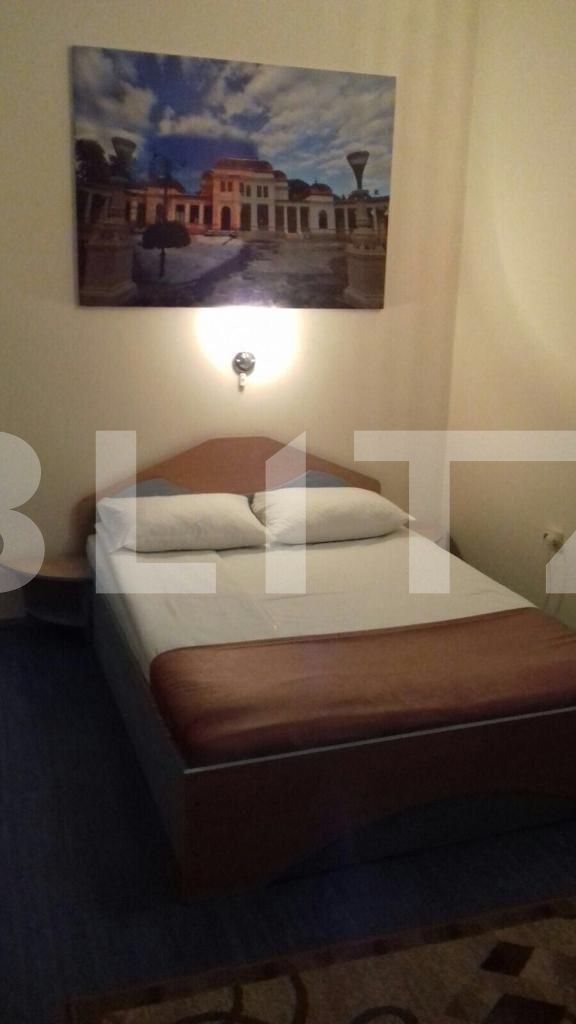 Casa de vânzare 12 camere Gruia - 70833CV | BLITZ Cluj-Napoca | Poza3