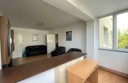 2 camere, semidecomandat, 47 mp, zona Iulius Mall