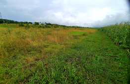 Teren intravilan 1389mp,situat in zona strazii Odobesti