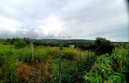 Teren intravilan 1389mp,situat in zona strazii Odobesti