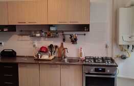 Apartament de doua camere, semidecomandat, la demisol, cu suprafata utila de 50,78mp, in cartierul Buna Ziua