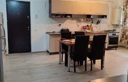 Apartament de doua camere, semidecomandat, la demisol, cu suprafata utila de 50,78mp, in cartierul Buna Ziua