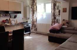 Apartament de doua camere, semidecomandat, la demisol, cu suprafata utila de 50,78mp, in cartierul Buna Ziua