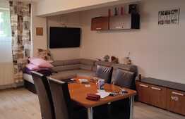 Apartament de doua camere, semidecomandat, la demisol, cu suprafata utila de 50,78mp, in cartierul Buna Ziua