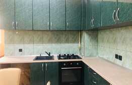 Casa 110 mp, pretabila pentru o firma, zona P-ta Cipariu