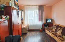 Garsoniera 21 mp, etaj intermediar, zona strazii Plevnei