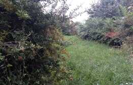 Casa individuala 160 mp utili, 500 mp teren in Tureni, la 15 minute de Cluj!