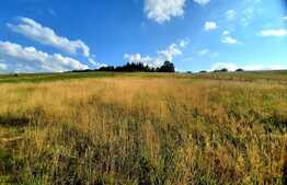 Teren extravilan 2500mp,  situat în Săliștea Noua