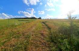 Teren extravilan 2500mp,  situat în Săliștea Noua