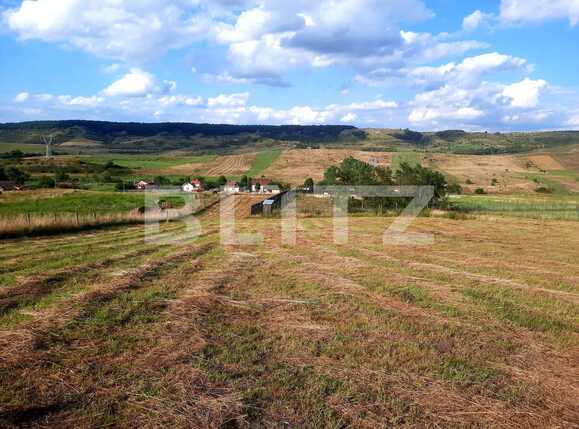 Teren de vânzare Baciu - 70874TV | BLITZ Cluj-Napoca | Poza1