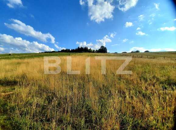 Teren de vânzare Baciu - 70874TV | BLITZ Cluj-Napoca | Poza3