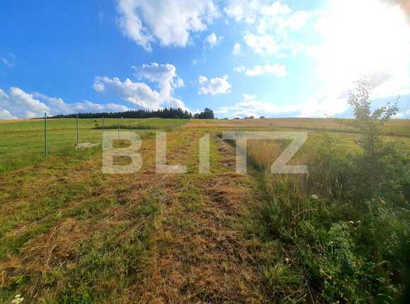 Teren de vânzare Baciu - 70874TV | BLITZ Cluj-Napoca | Poza2
