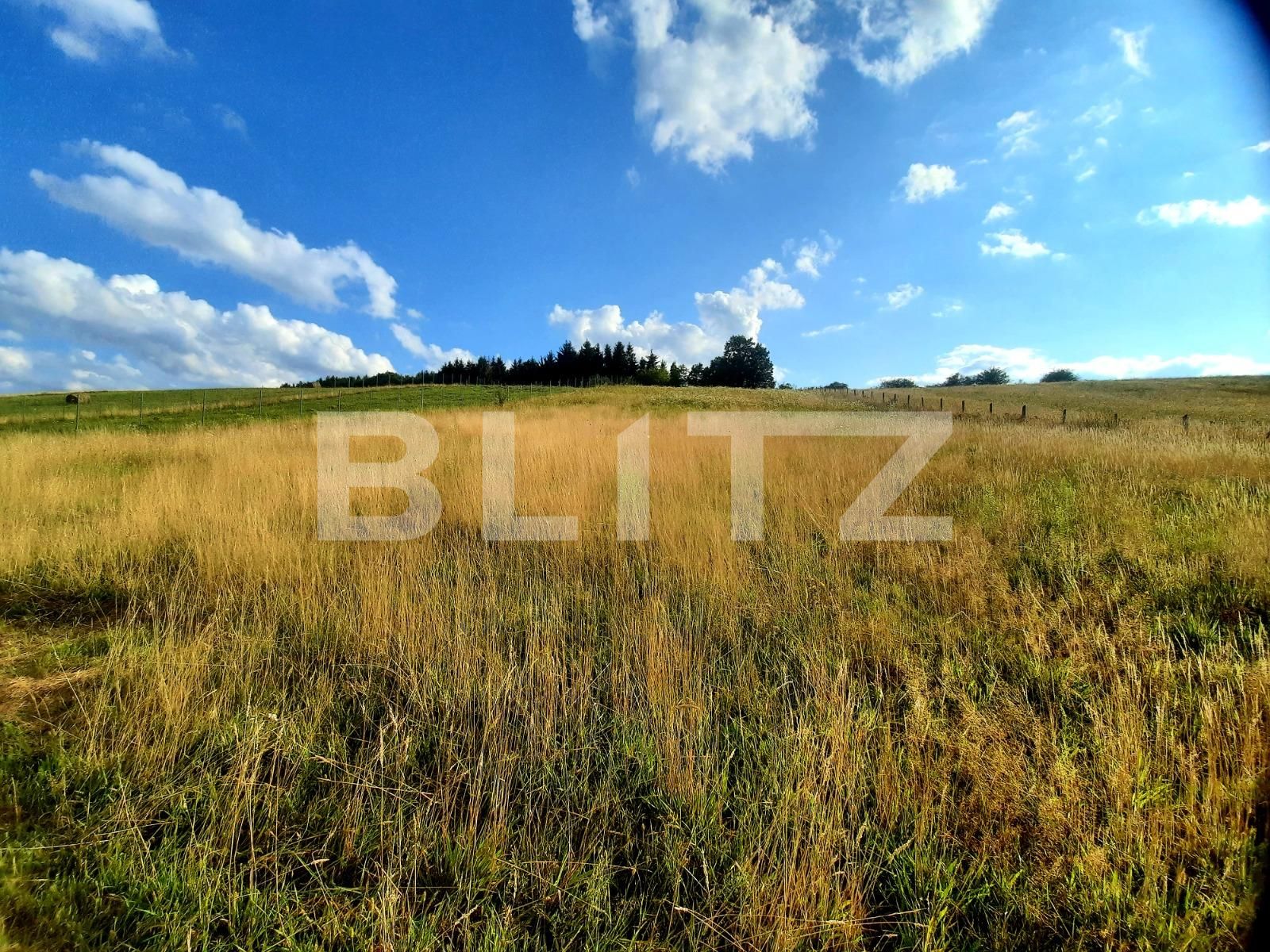 Teren de vânzare Baciu - 70874TV | BLITZ Cluj-Napoca | Poza3