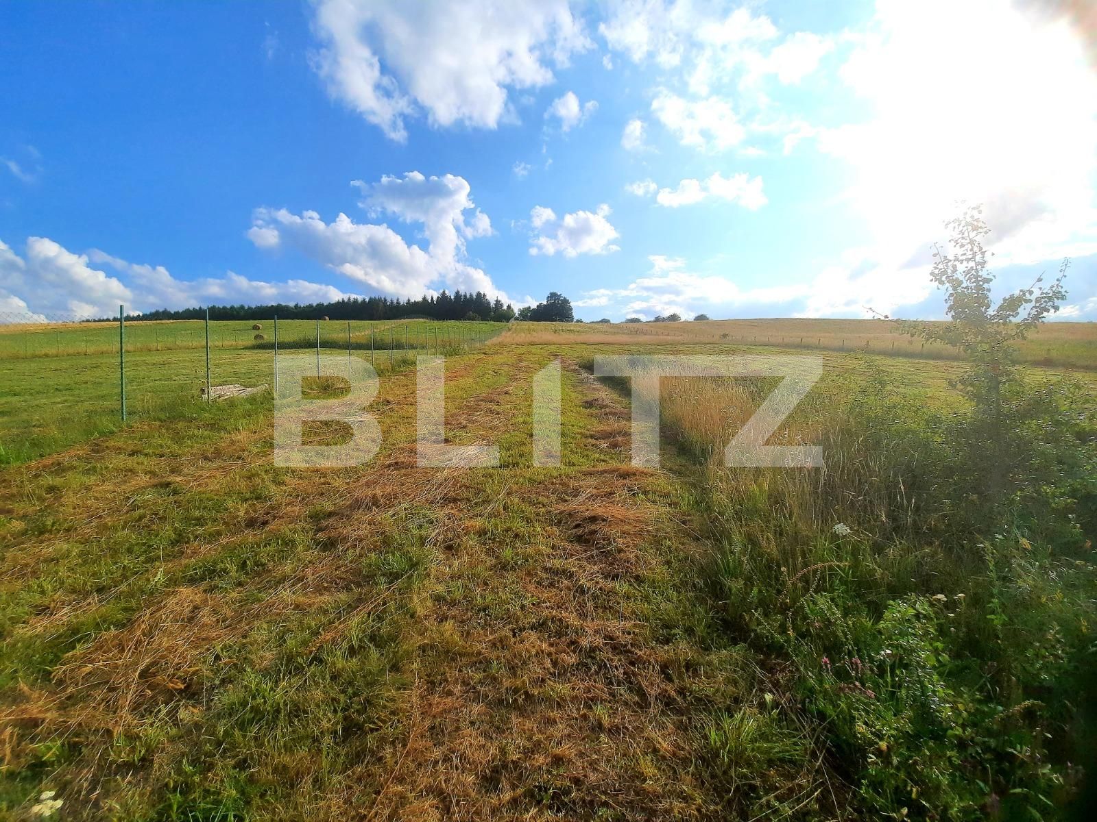 Teren de vânzare Baciu - 70874TV | BLITZ Cluj-Napoca | Poza4