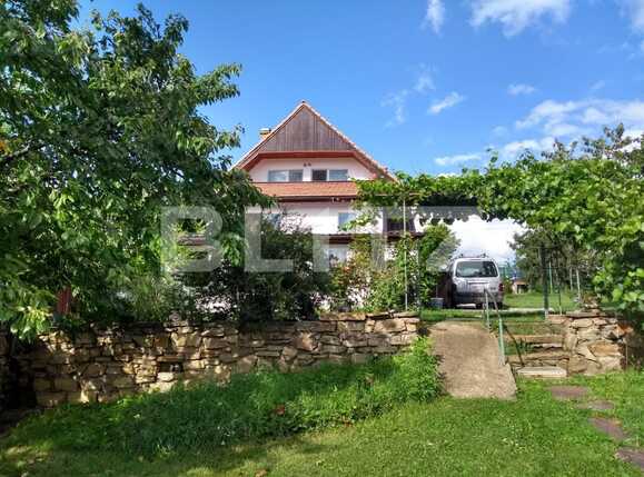 Casa de vânzare 4 camere Dambul Rotund - 70878CV | BLITZ Cluj-Napoca | Poza2