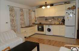 2 camere, 55 mp utili, A.C, parcare, zona Buna Ziua