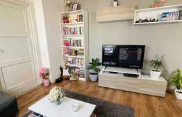 Apartament cu 2 camere, mobilat modern, 50 mp, zona strazii Horea