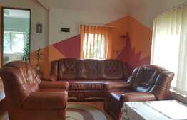 Vila cu 2 apartamente si spatiu comercial de vanzare