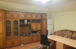 Vila cu 2 apartamente si spatiu comercial de vanzare