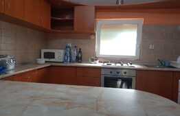 Vila cu 2 apartamente si spatiu comercial de vanzare