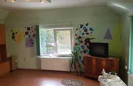 Vila cu 2 apartamente si spatiu comercial de vanzare