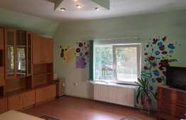 Vila cu 2 apartamente si spatiu comercial de vanzare