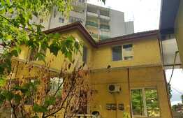 Vila cu 2 apartamente si spatiu comercial de vanzare