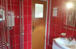 Vila cu 2 apartamente si spatiu comercial de vanzare