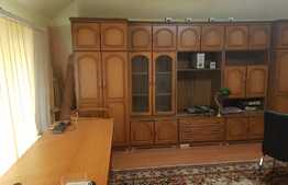 Vila cu 2 apartamente si spatiu comercial de vanzare