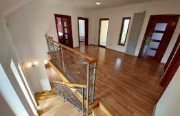 Casa individuala superba, teren, terasa, garaj, Pet-Friendly, zona Dambul Rotund