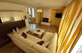 Casa individuala superba, teren, terasa, garaj, Pet-Friendly, zona Dambul Rotund