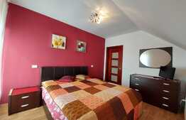 Casa individuala superba, teren, terasa, garaj, Pet-Friendly, zona Dambul Rotund
