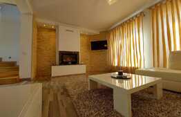 Casa individuala superba, teren, terasa, garaj, Pet-Friendly, zona Dambul Rotund