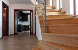 Casa individuala superba, teren, terasa, garaj, Pet-Friendly, zona Dambul Rotund
