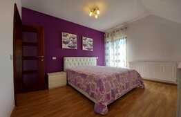 Casa individuala superba, teren, terasa, garaj, Pet-Friendly, zona Dambul Rotund