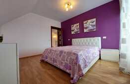 Casa individuala superba, teren, terasa, garaj, Pet-Friendly, zona Dambul Rotund