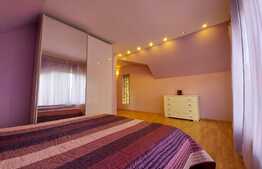 Casa individuala superba, teren, terasa, garaj, Pet-Friendly, zona Dambul Rotund