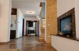 Casa individuala superba, teren, terasa, garaj, Pet-Friendly, zona Dambul Rotund