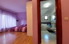 Casa individuala superba, teren, terasa, garaj, Pet-Friendly, zona Dambul Rotund