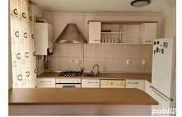 Apartament de 2 camere, proaspat renovat, pet-friendly, zona strazii Borhanciului