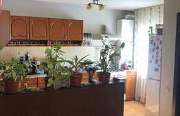 Casa individuala, Constructie noua,120 utili, 440mp teren, zona Corneliu Coposu