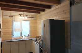 Cabana de vanzare Belis, 500 mp teren, panorama 