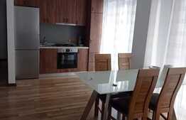 Apartament 2 camere, 45 mp, semidecomandat, terasă 40 mp, zona străzii Nicolae Steinhardt 