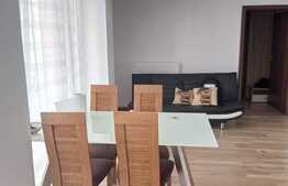 Apartament 2 camere, 45 mp, semidecomandat, terasă 40 mp, zona străzii Nicolae Steinhardt 