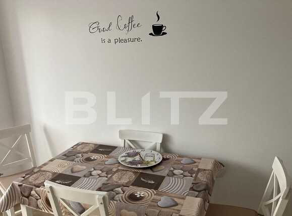 Apartament de închiriat 2 camere Brasovul Vechi - 71011AI | BLITZ Brașov | Poza4