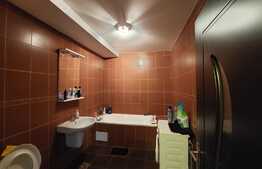 Apartament pentru investitie! 2 camere, 66mp, etaj intermediar! Zona Florilor